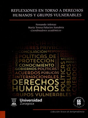 cover image of Reflexiones en torno a derechos humanos y grupos vulnerables
